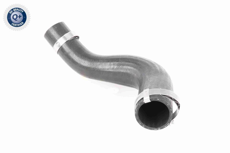 11287619248V V20-2625 Belt Tensioner, V-ribbed belt