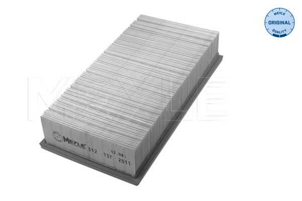 13721702908M 312 137 2011 Air Filter