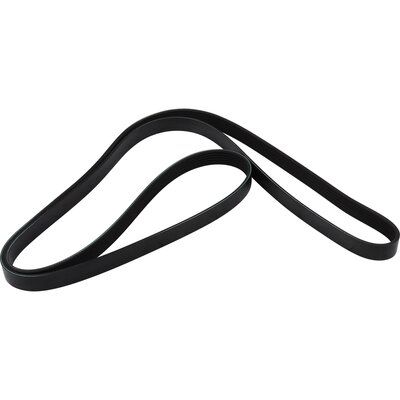 11281437449JP 1418100200 V-Ribbed Belt