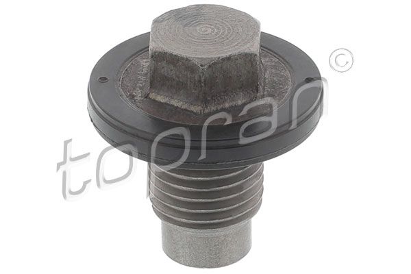 11137513050TR 501 474 Tapón roscado, colector de aceite