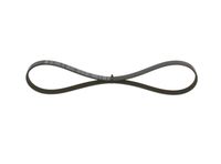 11287631822BO 11287631822 11 28 7 631 822 7631822 1 987 947 805  V-Ribbed Belt