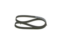 11287518250BO 11287518250 11 28 7 518 250 7518250 1 987 946 051 MINI R52 -  V-Ribbed Belt