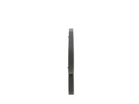 11288519128BO 11288519128 11 28 8 519 128 8519128 1 987 947 548  Correa trapecial poli V