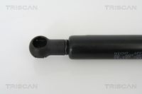 51237008745TS 51237008745 51 23 7 008 745 7008745 8710 11110 BMW E60 LCI -  Gas Spring, bonnet