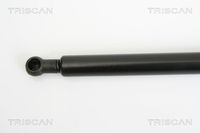51243414711TS 51243414711 51 24 3 414 711 3414711 8710 11226  Gas Spring, boot/cargo area