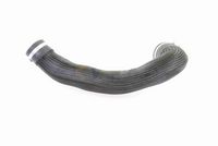 22118835564V 22118835564 22 11 8 835 564 8835564 V20-2520 MINI F54 -  Soporte, motor