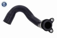11537603514V 11537603514 11 53 7 603 514 7603514 V20-2893 BMW F20 -  Radiator Hose